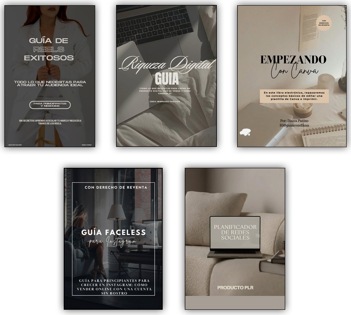 5 Productos Editables